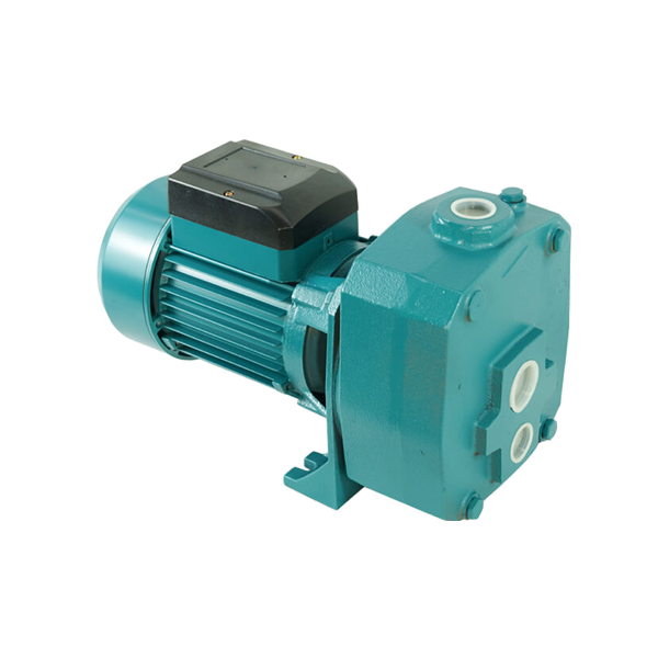 Máy bơm hút giếng sâu APP PC-500E 1.5HP 220V