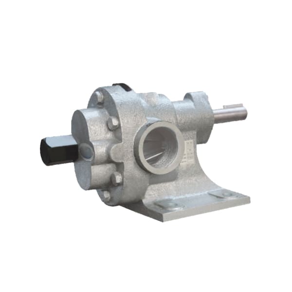Đầu bơm bánh răng bằng inox Maruti MESX-250 10HP