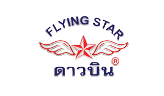 Máy Bơm Nước Chạy Xăng FLYING STAR