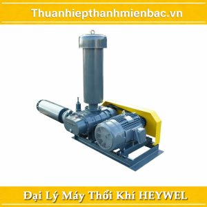 Giới Thiệu Đại Lý Máy Thổi Khí Heywel Chính Hãng